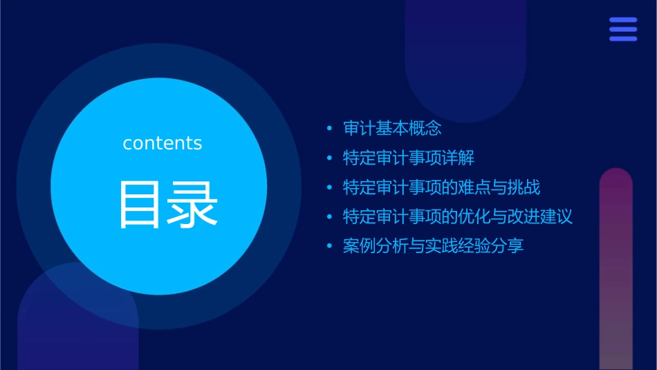 特定审计事项课件_第2页