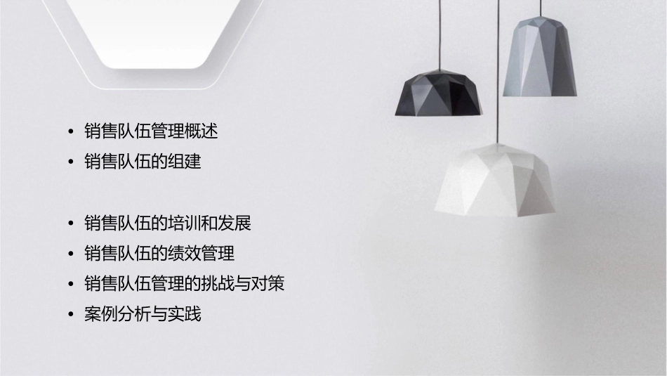 某公司销售队伍管理培训课件_第2页