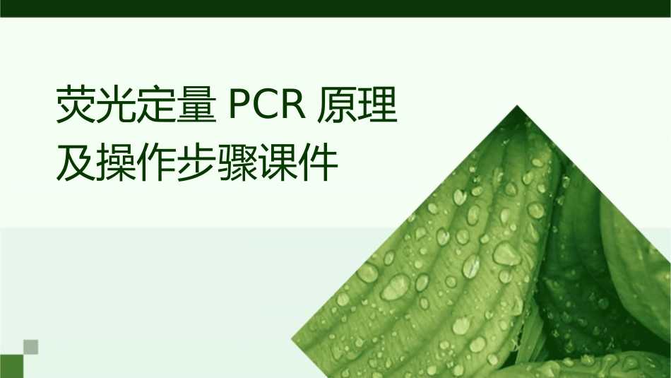 荧光定量PCR原理及操作步骤.课件_第1页