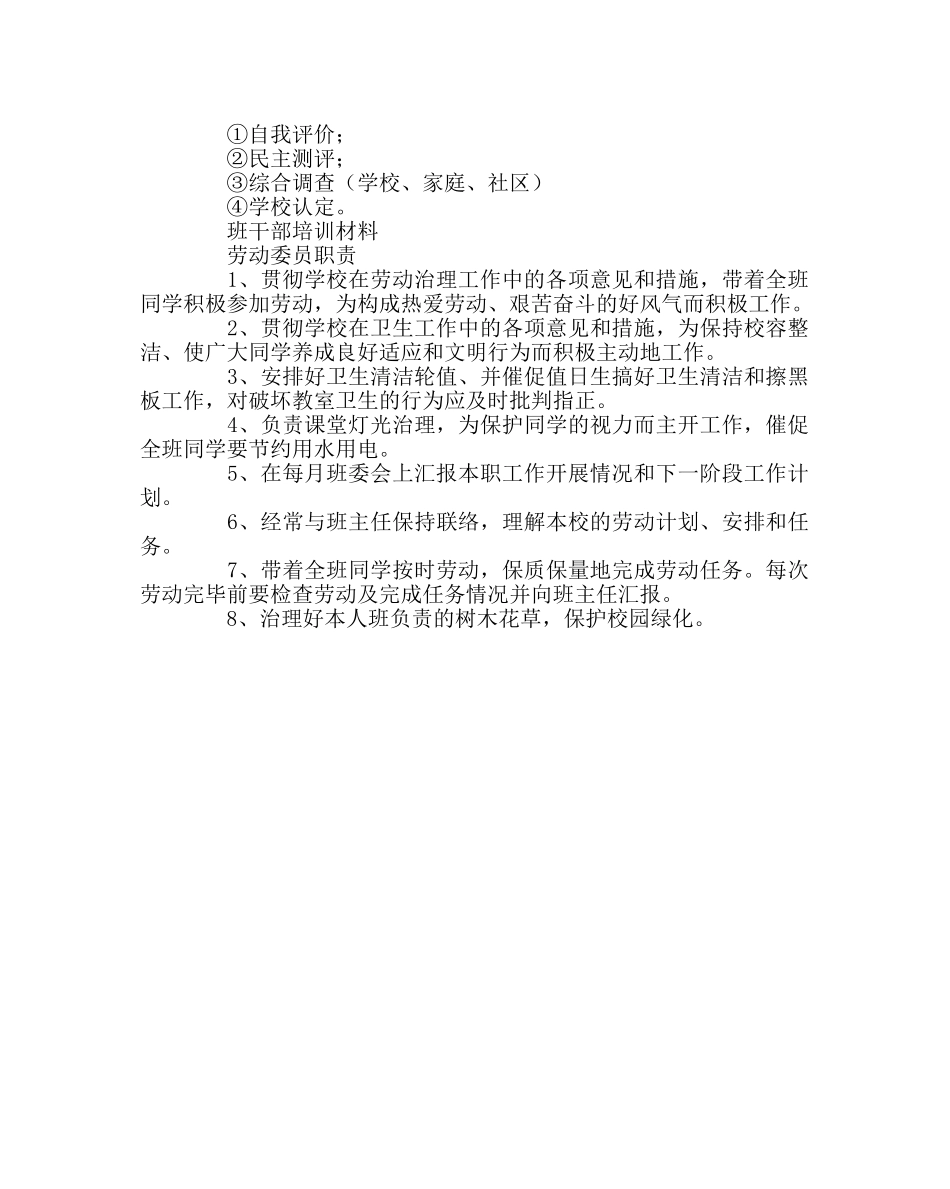 班主任工作范文班队干部培训计划 _第3页