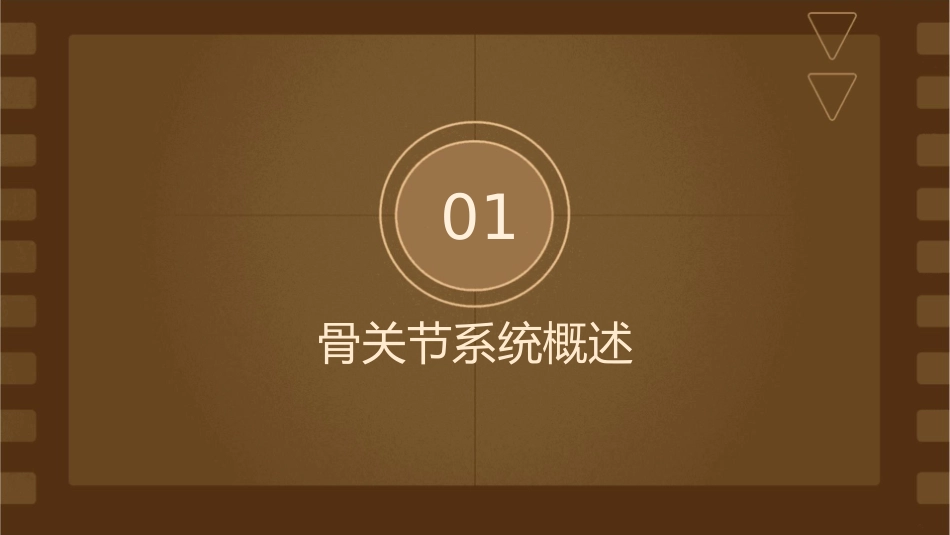 骨关节系统多媒体课件_第3页