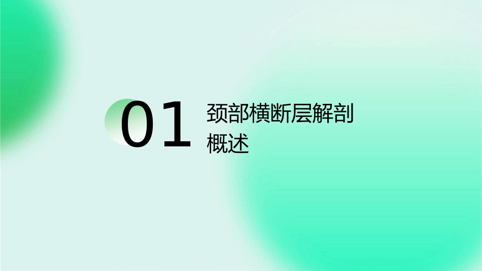 颈部横断层解剖护理课件_第3页
