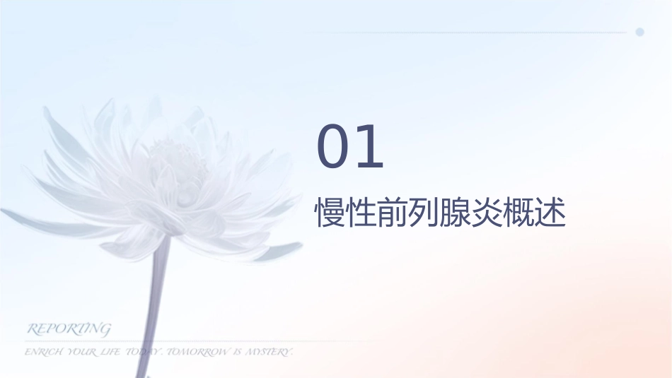 慢性前列腺炎诊疗指南课件_第3页