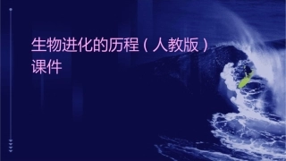 生物进化的历程(人教版)课件