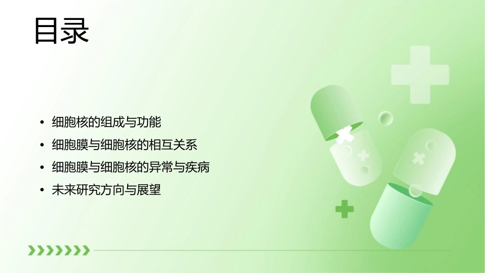 细胞膜与细胞核课件_第2页