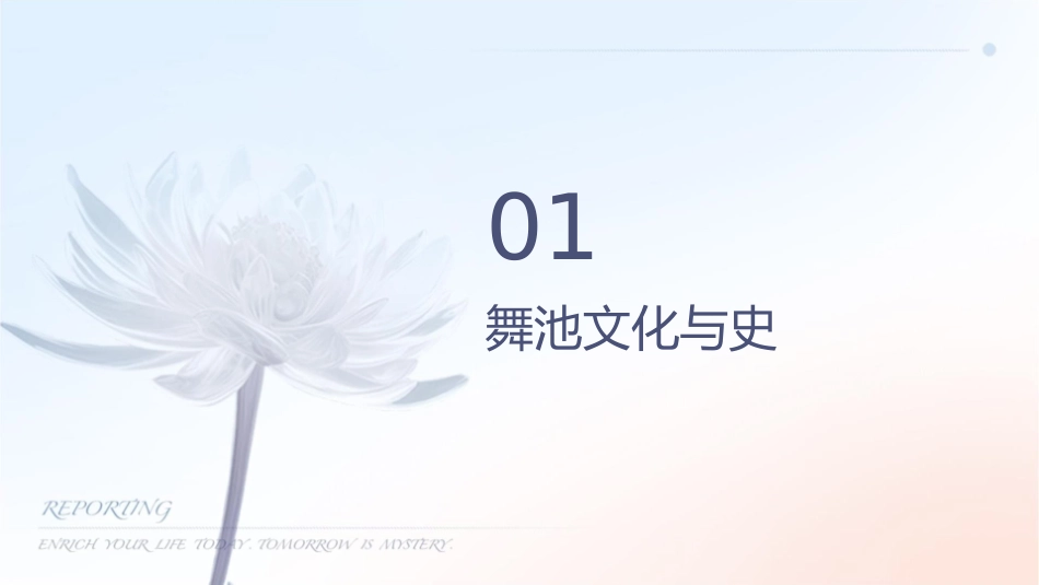 美妙之舞池中跳舞狂欢_第3页