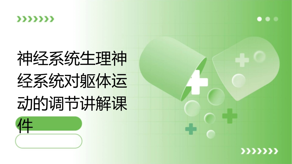 神经系统生理神经系统对躯体运动的调节讲解课件_第1页