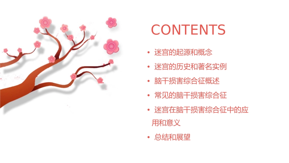 常见的脑干损害综合征迷宫中的迷宫课件_第2页