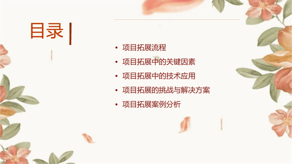 房地产项目拓展课件_第2页