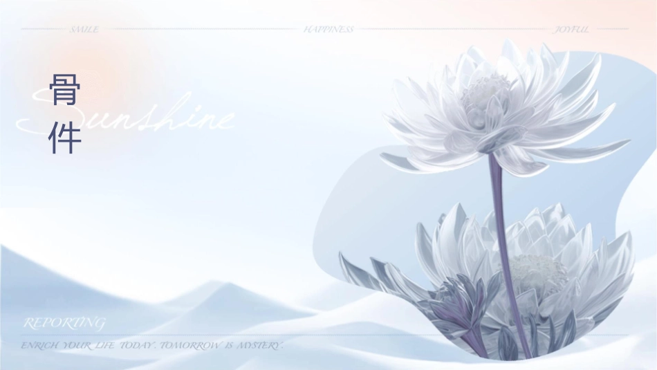 绪论骨总论理论课课件_第1页