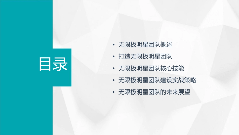 无限极明星团队课件_第2页