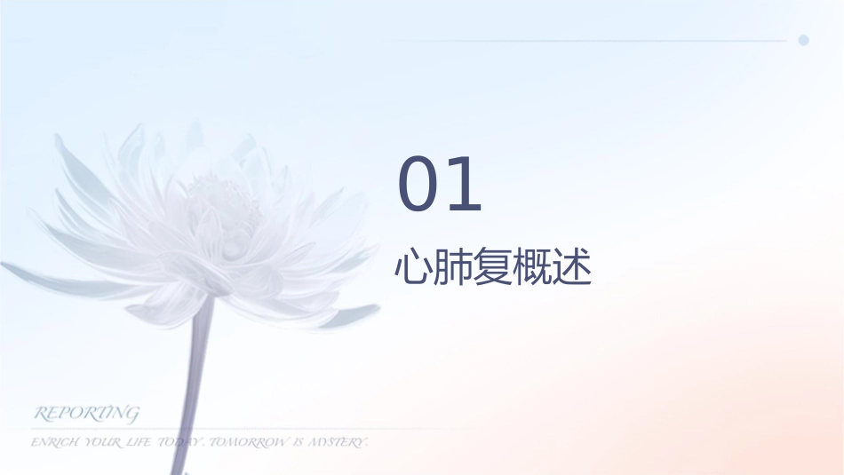 心肺复苏讲课护理课件_第3页