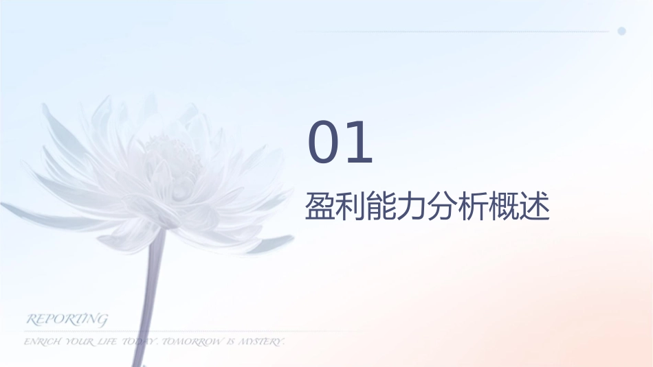 盈利能力和发展能力分析课件_第3页