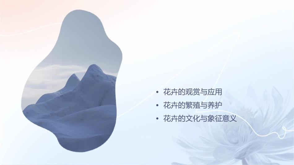 开花了结果了课件_第2页