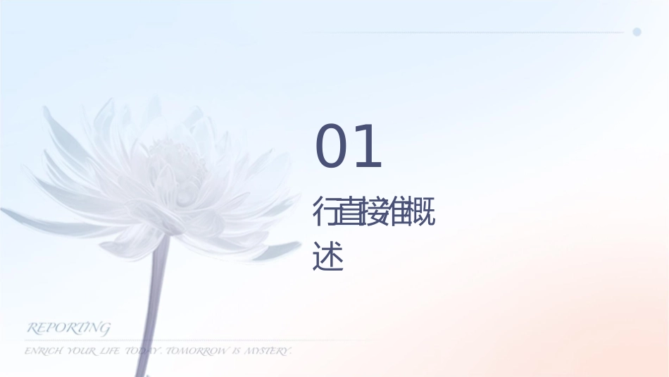 飞行直接准备阶段课件_第3页