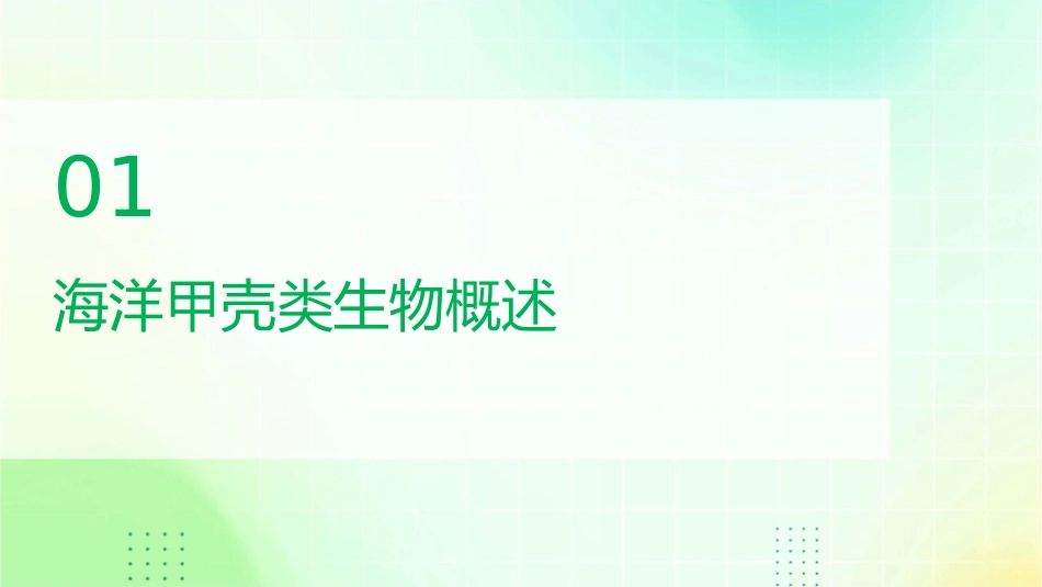 海洋生物识别 海洋甲壳类识别甲壳类生物基础知识护理课件_第3页