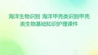 海洋生物识别 海洋甲壳类识别甲壳类生物基础知识护理课件