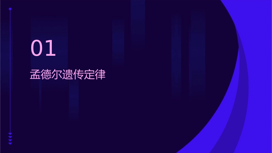 遗传定律复习课件_第3页