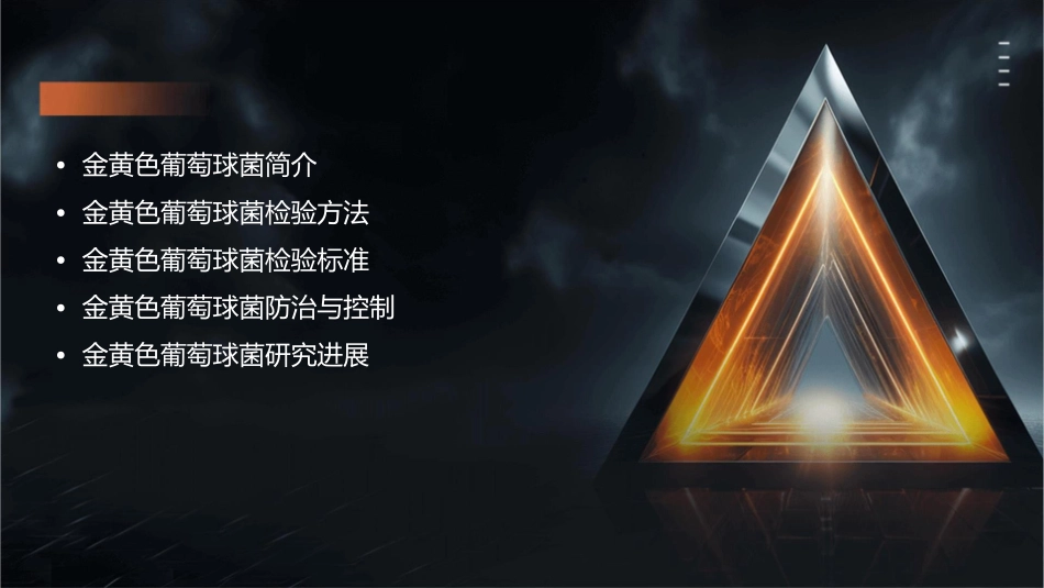 金黄色葡萄球菌检验资料课件_第2页