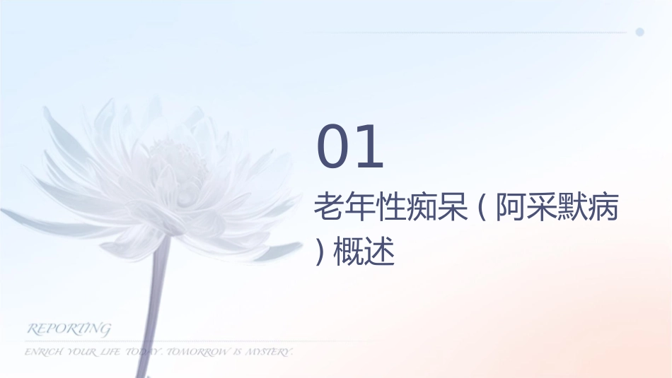 新版老年性痴呆(阿尔采默病)诊治护理课件_第3页
