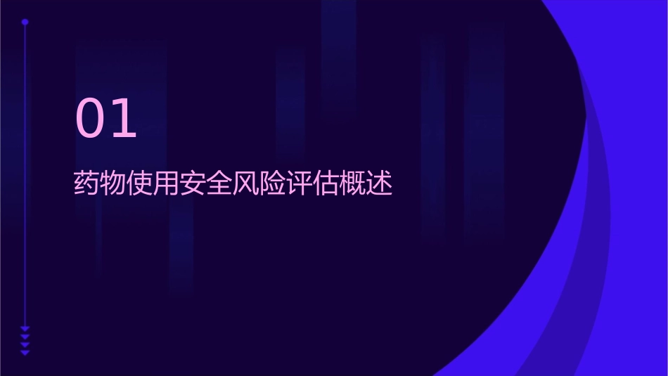 药物使用安全风险评估护理课件_第3页