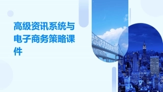 高级资讯系统与电子商务策略课件
