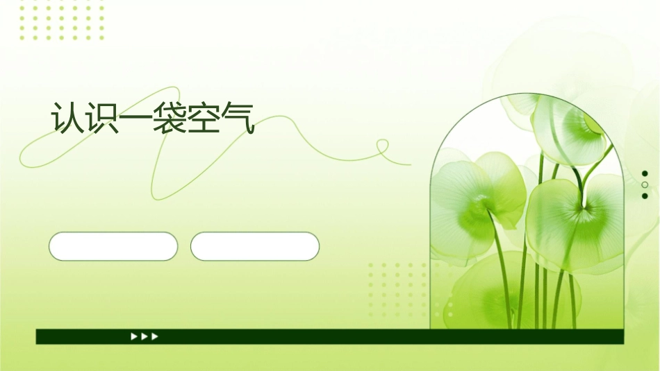 认识一袋空气课件_第1页