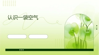 认识一袋空气课件