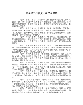 班主任工作范文新学生评语 