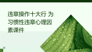 违章操作十大行为习惯性违章心里因素课件