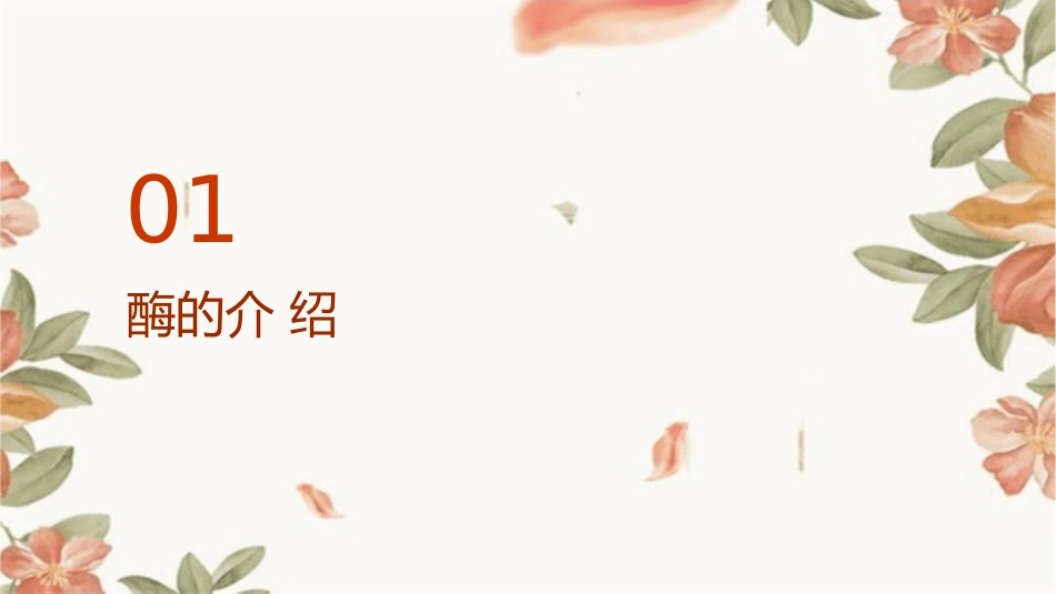 酶在果蔬汁加工工业中的应用课件_第3页