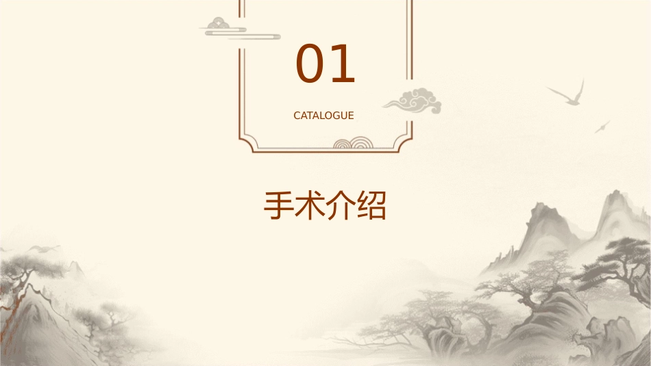 腹腔镜广泛全子宫切除加盆腔淋巴结清扫护理课件_第3页