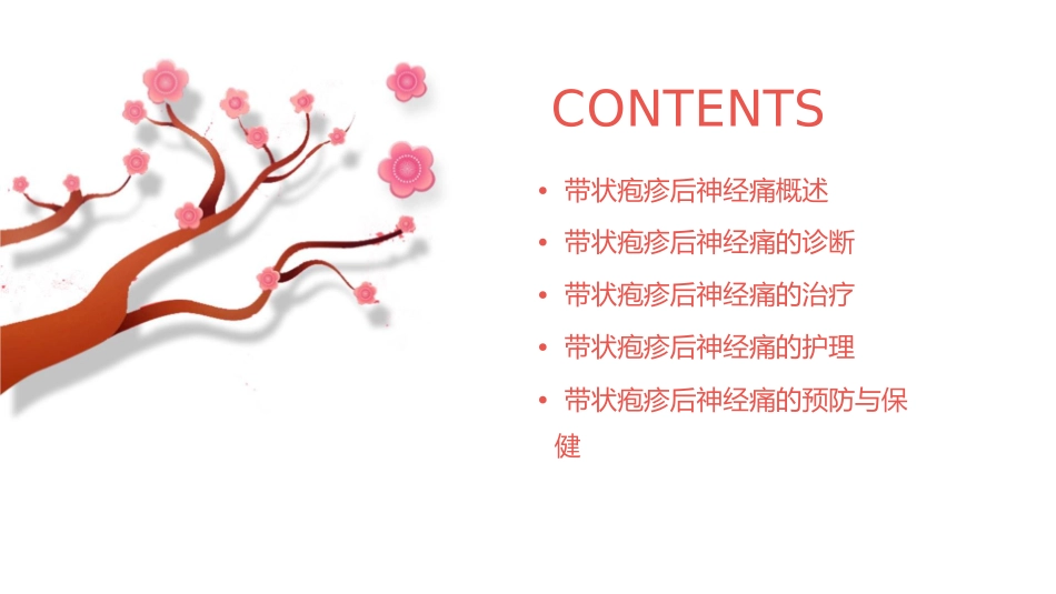 带状疱疹后神经痛诊治护理课件_第2页