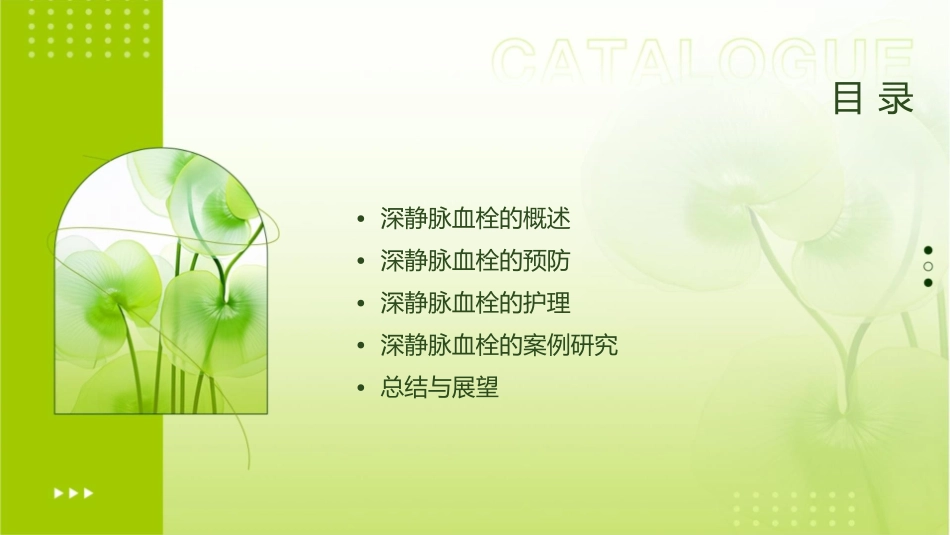 深静脉血栓预防学习护理课件_第2页