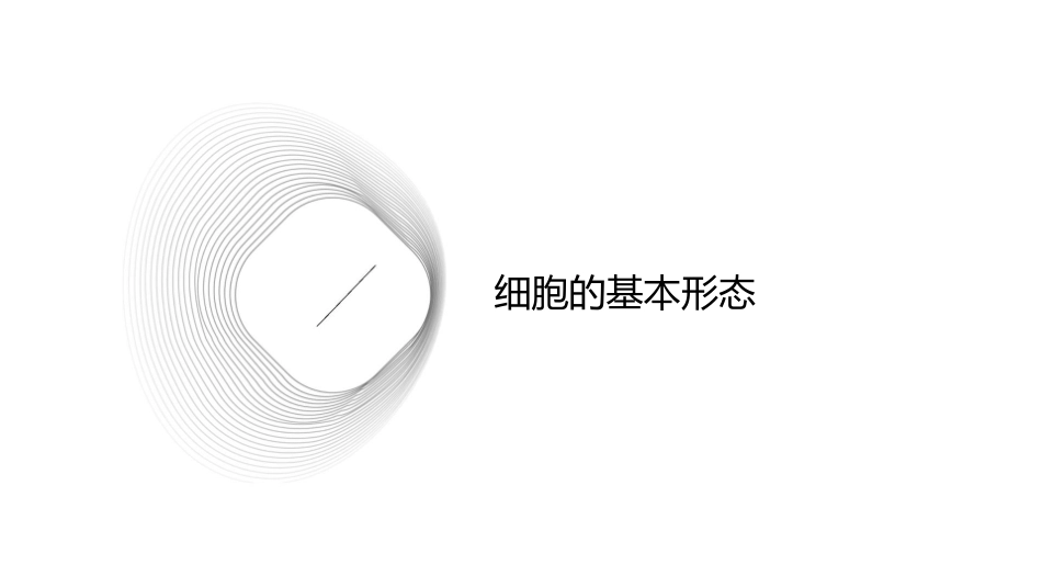 细胞的形态结构功能课件_第3页