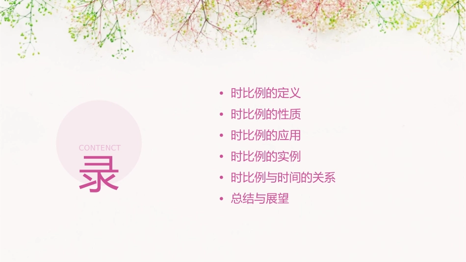 时比例的性质课件_第2页