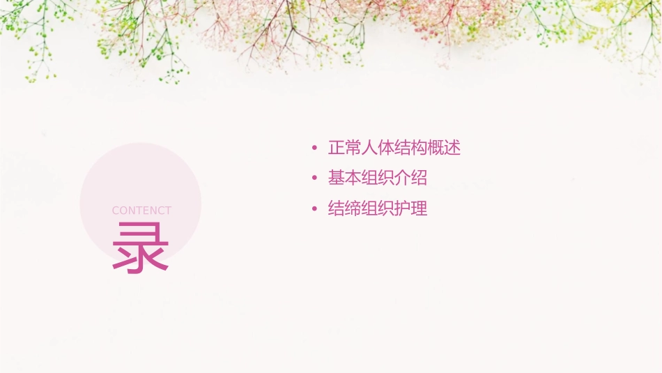 正常人体结构 基本组织结缔组织护理课件_第2页