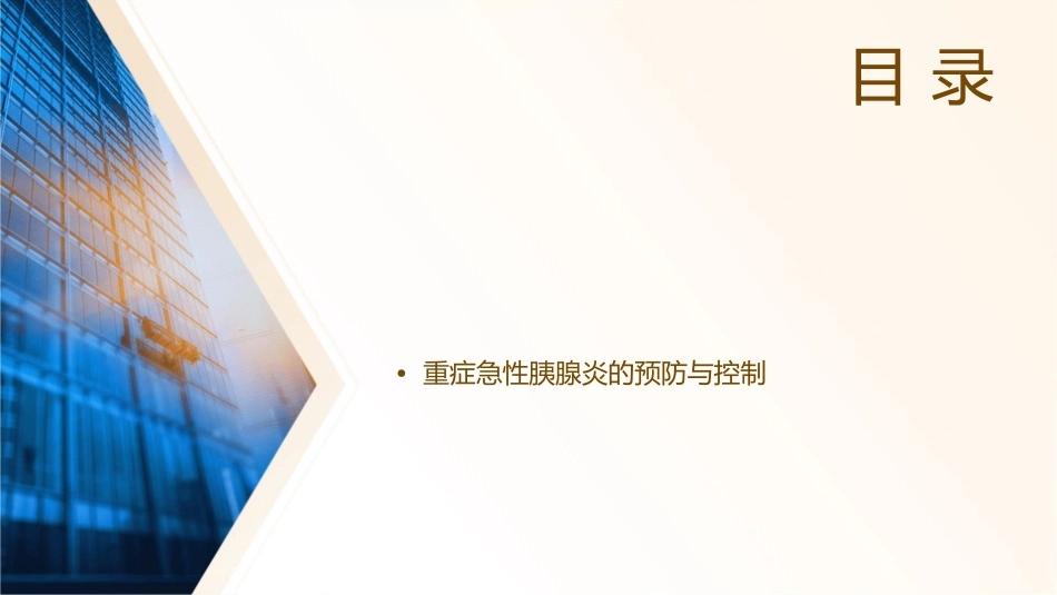 重症急性胰腺炎护理课件_第2页