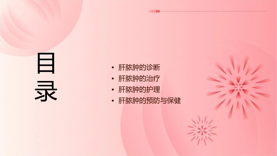 肝脓肿查房护理课件_第2页