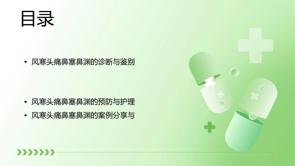 风寒头痛鼻塞鼻渊课件_第2页