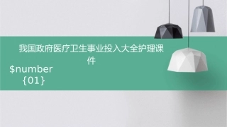 我国政府医疗卫生事业投入大全护理课件