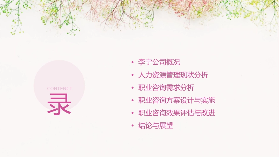 李宁人力资源管理职业咨询报告课件_第2页