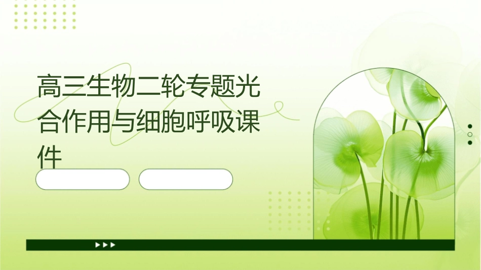 高三生物二轮专题光合作用与细胞呼吸课件_第1页