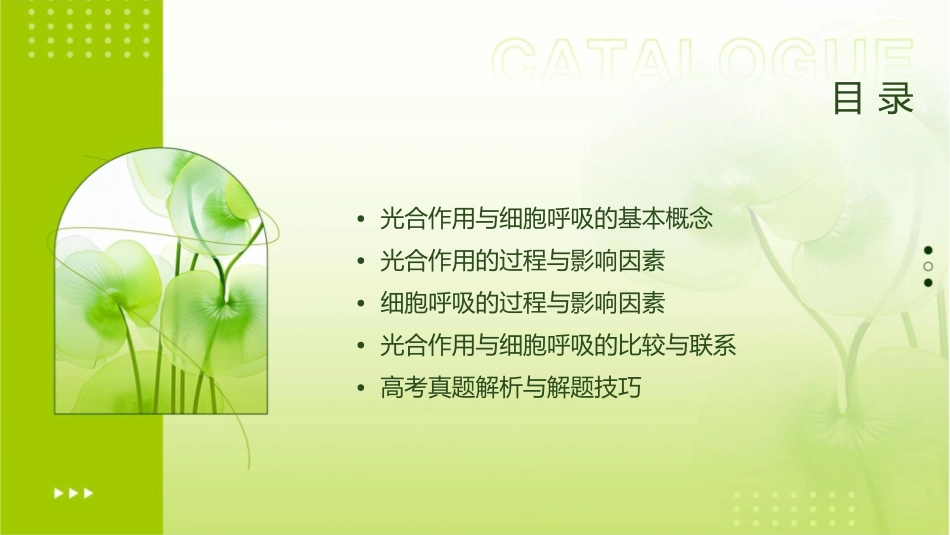 高三生物二轮专题光合作用与细胞呼吸课件_第2页