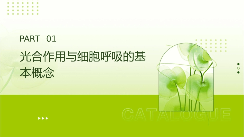 高三生物二轮专题光合作用与细胞呼吸课件_第3页