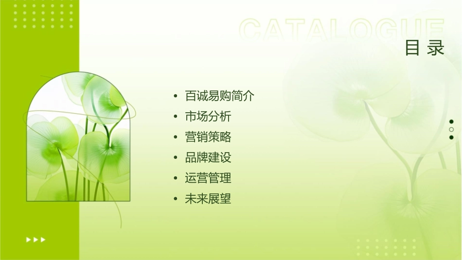 百诚易购策略课件_第2页