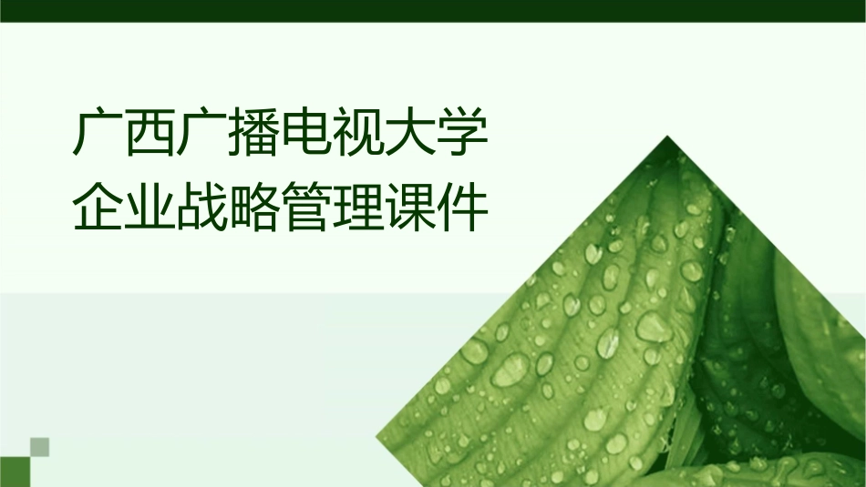 广西广播电视大学企业战略管理课件_第1页