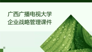 广西广播电视大学企业战略管理课件