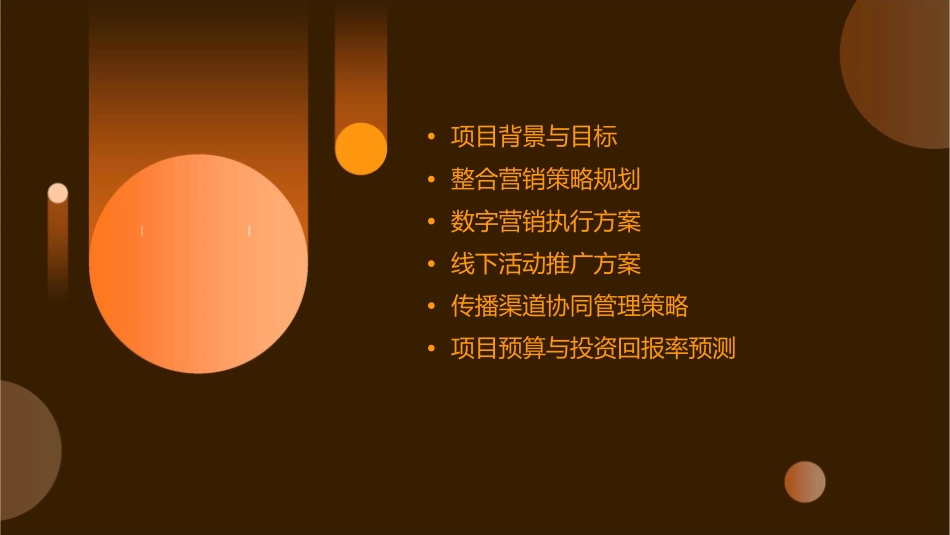 某某年三星笔记本电脑整合营销传播计划课件_第2页