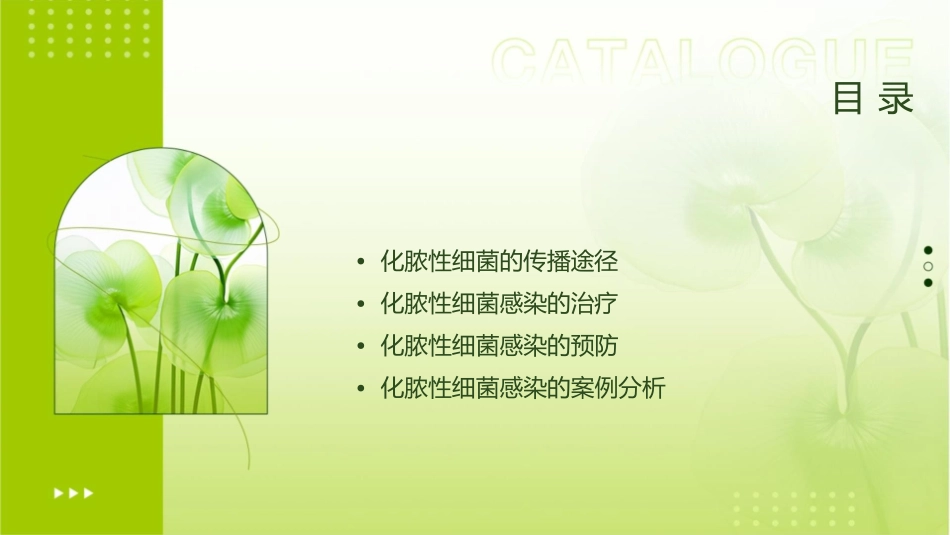 第十五章化脓性细菌课件_第2页